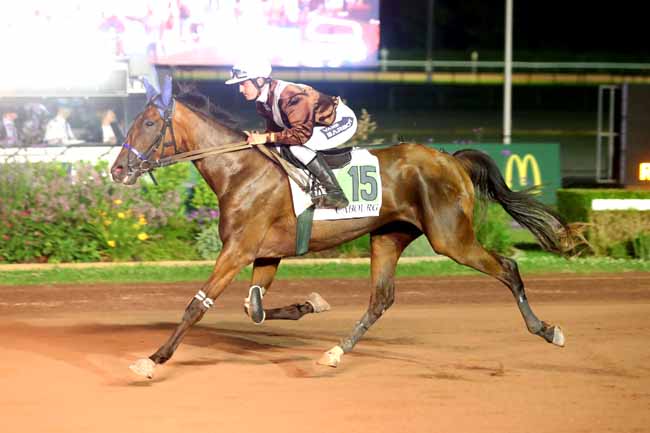 Photo d'arrivée de la course pmu PRIX DES EUPHRAISES à CABOURG le Vendredi 26 juillet 2024