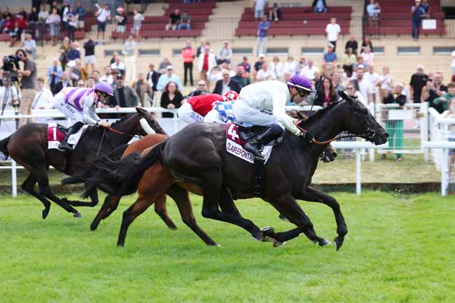 Photo d'arrivée de la course pmu PRIX CONTES POUR ENFANTS 