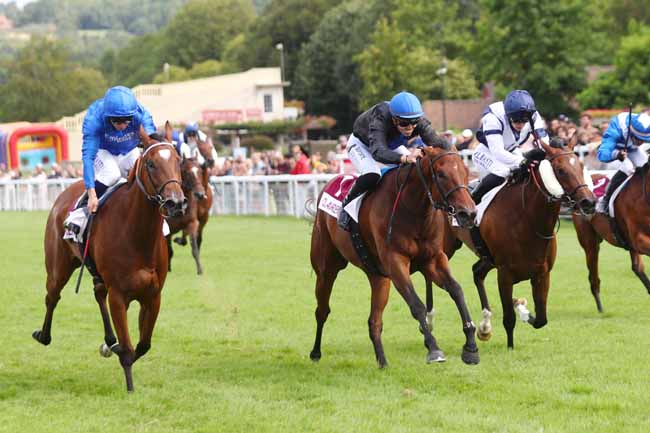 Photo d'arrivée de la course pmu PRIX FRESQUE GEANTE DU DEBARQUEMENT (PRIX DU CHEMIN DE L'HIPPODROME) à CLAIREFONTAINE le Samedi 27 juillet 2024