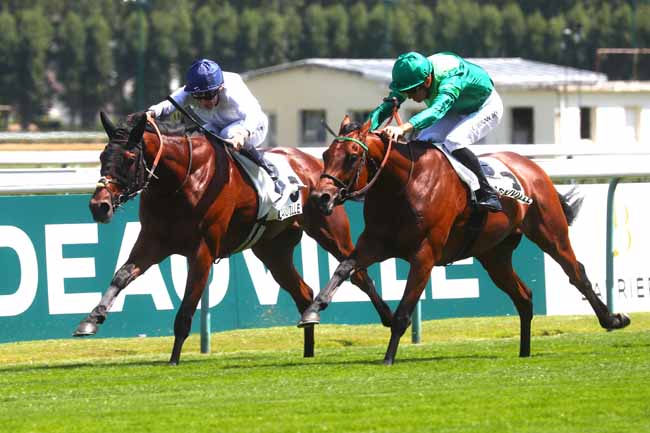 Photo d'arrivée de la course pmu PRIX DE CREVECŒUR à DEAUVILLE le Dimanche 28 juillet 2024
