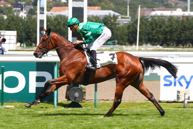 Photo d'arrivée de la course pmu PRIX DES 160 ANS DE L'HIPPODROME-VILLE DE DEAUVILLE (PRIX DES MARETTES) à DEAUVILLE le Dimanche 28 juillet 2024