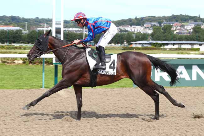 Photo d'arrivée de la course pmu PRIX DES COLLECTIVITES LOCALES à DEAUVILLE le Dimanche 28 juillet 2024