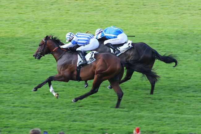 Photo d'arrivée de la course pmu PRIX DE VIRE à DEAUVILLE le Jeudi 1 août 2024