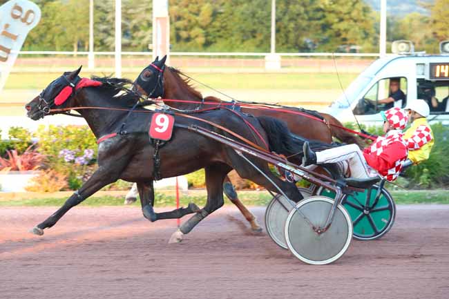 Photo d'arrivée de la course pmu PRIX LIS à CABOURG le Vendredi 2 août 2024