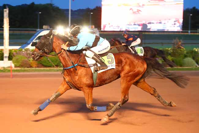 Photo d'arrivée de la course pmu PRIX DES LILAS à CABOURG le Vendredi 2 août 2024