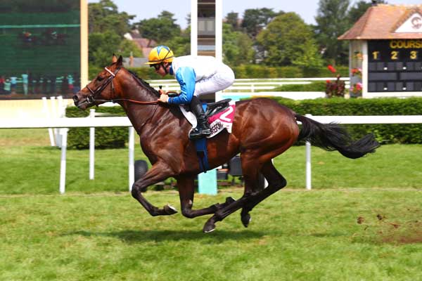 Photo d'arrivée de la course pmu PRIX PASSION & DREAM (PRIX DES POIRIERS) à CLAIREFONTAINE le Vendredi 2 août 2024