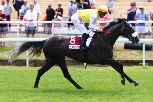 Photo d'arrivée de la course pmu PRIX ECURIE HIGH HEELS RACING (PRIX DES POMMIERS) à CLAIREFONTAINE le Vendredi 2 août 2024