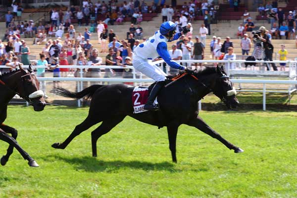 Photo d'arrivée de la course pmu PRIX VILLE D'HONFLEUR (PRIX GUY DU FAUR DE PIBRAC - HANDICAP CHALLENGE) à CLAIREFONTAINE le Vendredi 2 août 2024