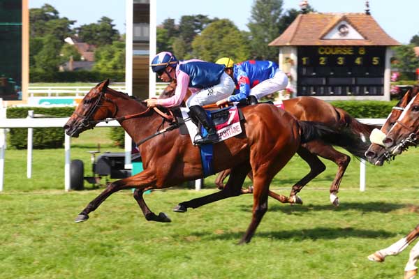 Photo d'arrivée de la course pmu PRIX VILLE DE VILLERS-SUR-MER (PRIX DU TREFLE) à CLAIREFONTAINE le Vendredi 2 août 2024