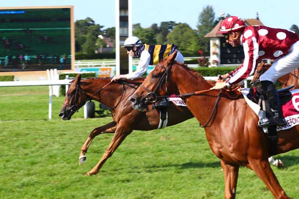 Photo d'arrivée de la course pmu PRIX SOIREE EVENEMENT SUPER TROUPER FOR ABBA LE 5/08 (PRIX DU CEDRE BLEU) à CLAIREFONTAINE le Vendredi 2 août 2024