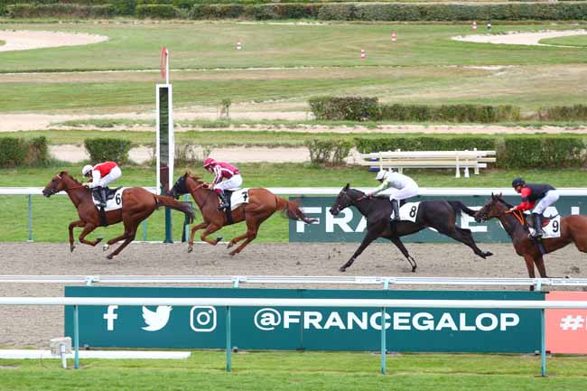 Photo d'arrivée de la course pmu 69EME PRIX GEORGES COURTOIS - TROPHEE STUDIO HARCOURT à DEAUVILLE le Samedi 3 août 2024