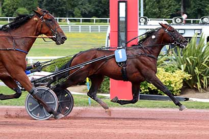 Photo d'arrivée de la course pmu PRIX D'AIGREMONT à ENGHIEN le Dimanche 4 août 2024