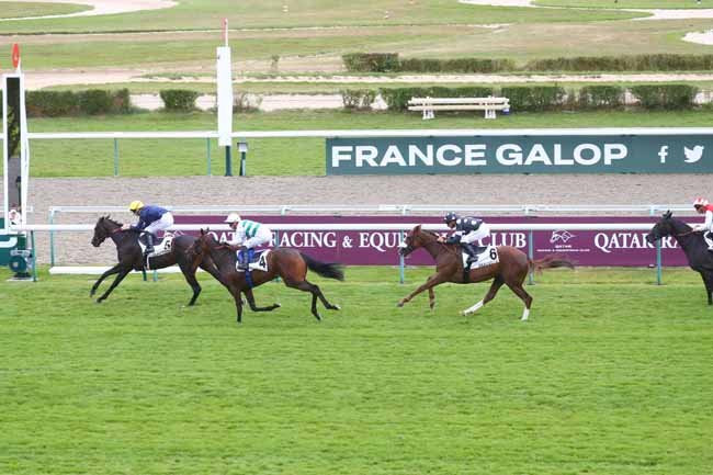 Photo d'arrivée de la course pmu PRIX DE FALAISE à DEAUVILLE le Mardi 6 août 2024