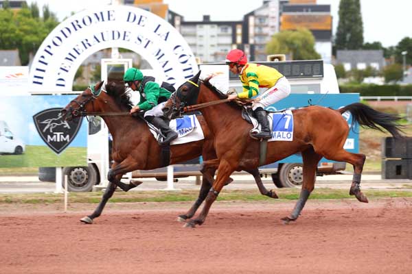 Photo d'arrivée de la course pmu PRIX JACQUES GIBOIRE à SAINT MALO le Mercredi 7 août 2024