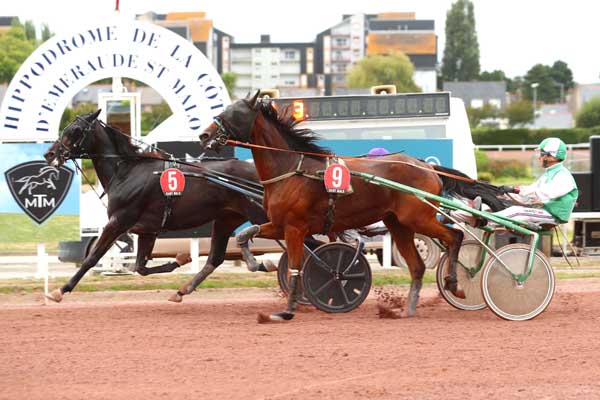 Photo d'arrivée de la course pmu PRIX ANDRE CARRUS à SAINT MALO le Mercredi 7 août 2024