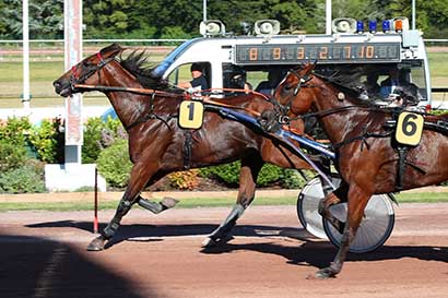Photo d'arrivée de la course pmu PRIX DES COREOPSIS à CABOURG le Vendredi 9 août 2024