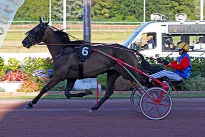 Photo d'arrivée de la course pmu PRIX DES LISERONS à CABOURG le Vendredi 9 août 2024