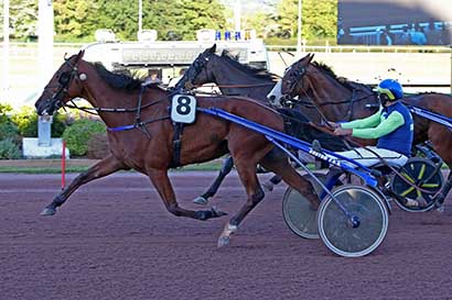 Photo d'arrivée de la course pmu PRIX DES CEDRES à CABOURG le Vendredi 9 août 2024