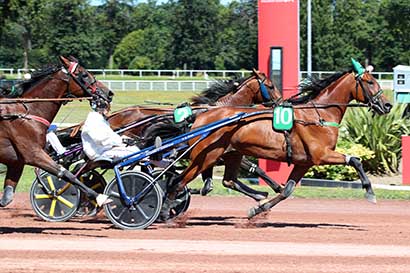 Photo d'arrivée de la course pmu PRIX DE MARNES-LA-COQUETTE à ENGHIEN le Samedi 10 août 2024