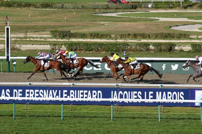 Photo d'arrivée de la course pmu PRIX DU QUAI SAINT-ETIENNE à DEAUVILLE le Dimanche 11 août 2024