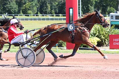 Photo d'arrivée de la course pmu PRIX DE LA PLAINE MONCEAU à ENGHIEN le Dimanche 11 août 2024