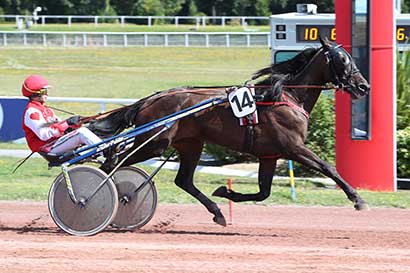 Photo d'arrivée de la course pmu PRIX DES TERNES à ENGHIEN le Dimanche 11 août 2024