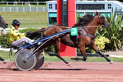 Photo d'arrivée de la course pmu PRIX DES TUILERIES à ENGHIEN le Dimanche 11 août 2024