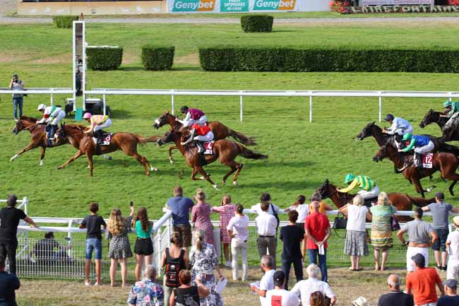 Photo d'arrivée de la course pmu PRIX DYNAMIC COLORS (PRIX DE RICARVILLE) à CLAIREFONTAINE le Lundi 12 août 2024