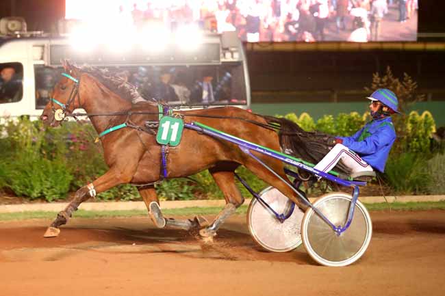 Photo d'arrivée de la course pmu PRIX DE BOURIGNY à CABOURG le Vendredi 23 août 2024