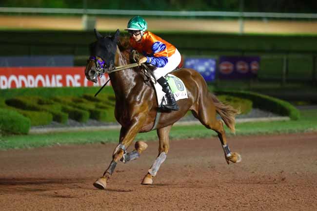 Photo d'arrivée de la course pmu PRIX DE MOULINS-LA-MARCHE à CABOURG le Vendredi 23 août 2024