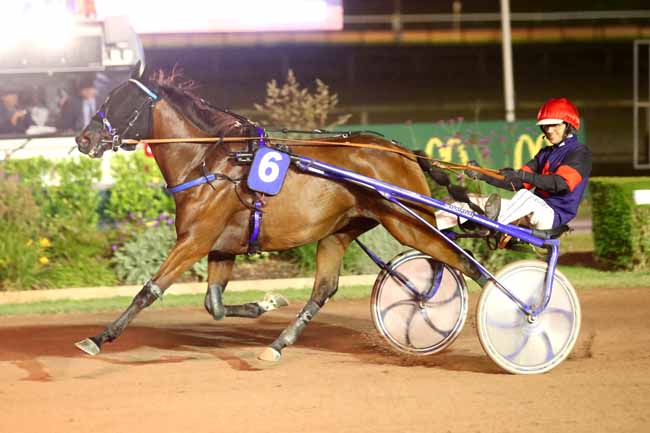 Photo d'arrivée de la course pmu PRIX OUEST-FRANCE (PRIX DES COQUELICOTS) à CABOURG le Vendredi 23 août 2024