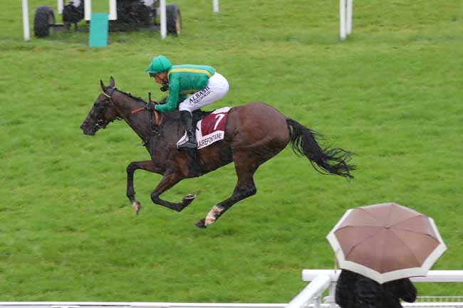 Photo d'arrivée de la course pmu PRIX DU PUBLIC DE LA VILLE DE DEAUVILLE 2024 (PRIX DE GUERNESEY) à CLAIREFONTAINE le Samedi 24 août 2024