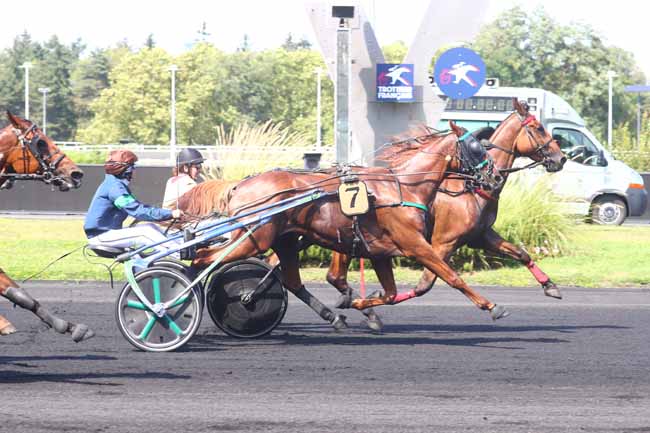 Photo d'arrivée de la course pmu PRIX DE SAINT-MANDE à PARIS-VINCENNES le Samedi 24 août 2024