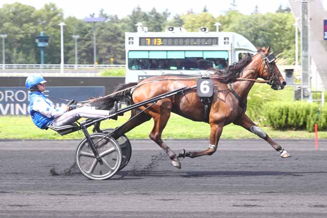 Photo d'arrivée de la course pmu PRIX DE DOLE à PARIS-VINCENNES le Samedi 24 août 2024