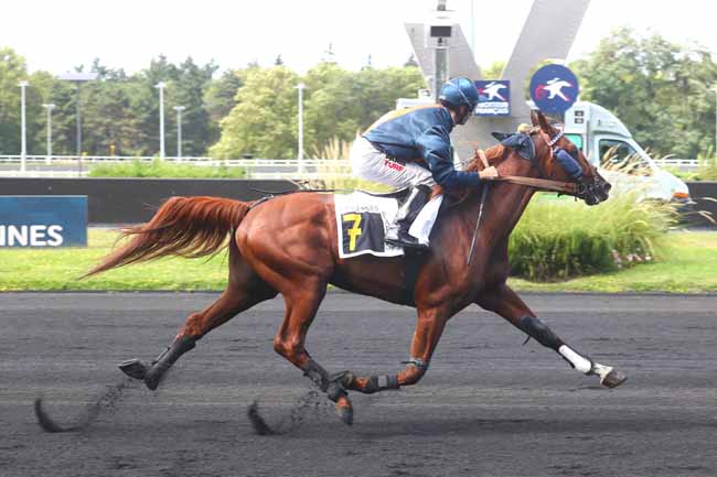 Photo d'arrivée de la course pmu PRIX PHACT à PARIS-VINCENNES le Samedi 24 août 2024