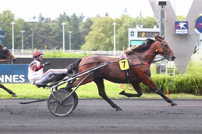 Photo d'arrivée de la course pmu PRIX DE PROVENCE à PARIS-VINCENNES le Samedi 24 août 2024