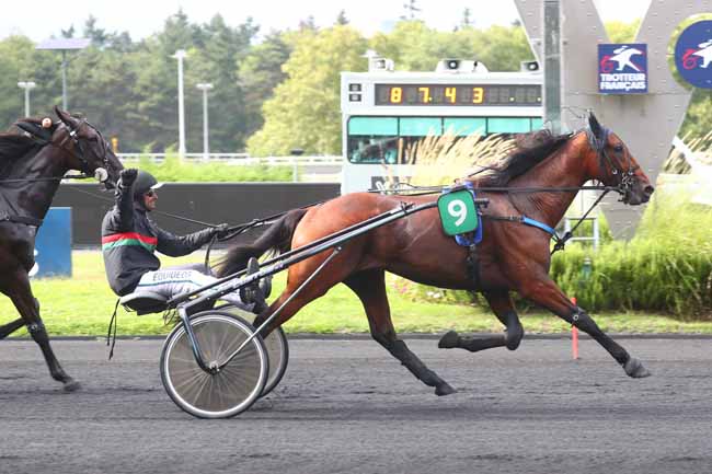 Photo d'arrivée de la course pmu YEARLING CUP 2024 - ARQANA TROT à PARIS-VINCENNES le Samedi 24 août 2024