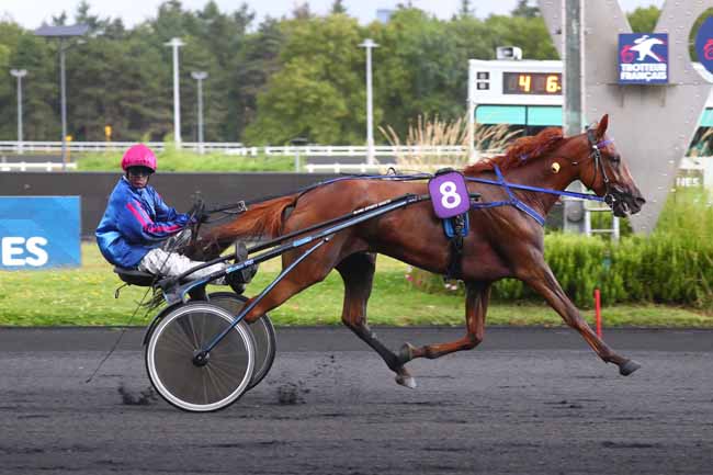 Photo d'arrivée de la course pmu PRIX D'OBERNAI à PARIS-VINCENNES le Samedi 24 août 2024