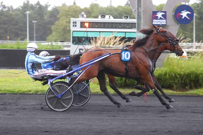 Photo d'arrivée de la course pmu PRIX DE MULHOUSE à PARIS-VINCENNES le Samedi 24 août 2024