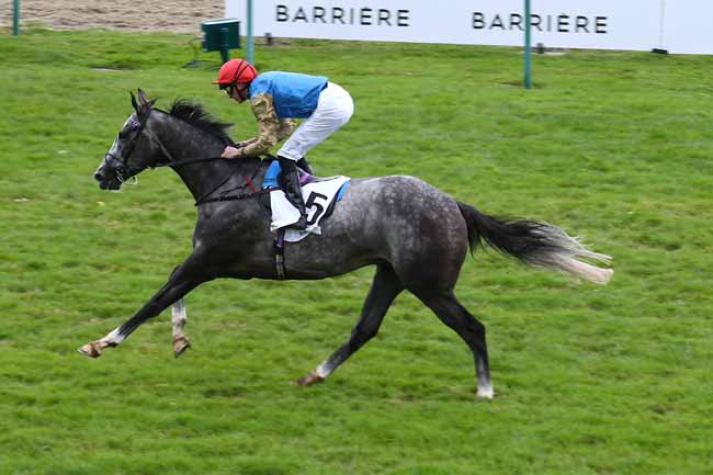 Photo d'arrivée de la course pmu BARRIERE PRIX QUINCEY à DEAUVILLE le Dimanche 25 août 2024