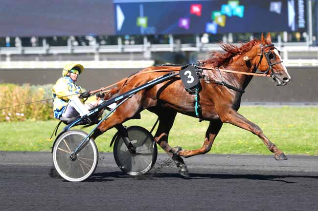 Photo d'arrivée de la course pmu PRIX DE BOSC RENOULT à PARIS-VINCENNES le Mercredi 28 août 2024