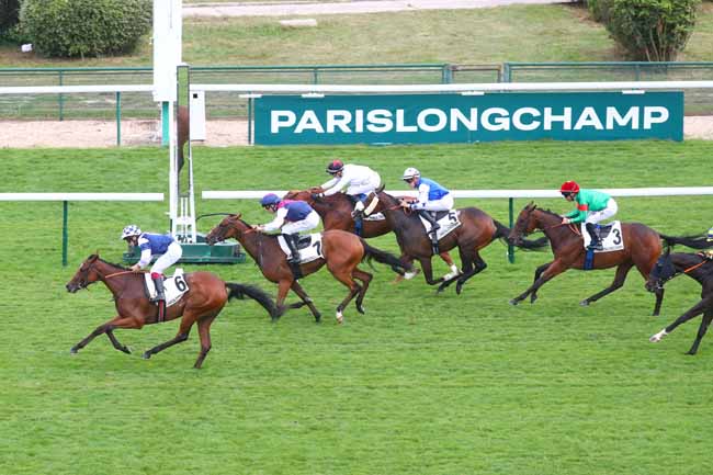 Photo d'arrivée de la course pmu PRIX DU MONTPARNASSE à LONGCHAMP le Jeudi 29 août 2024