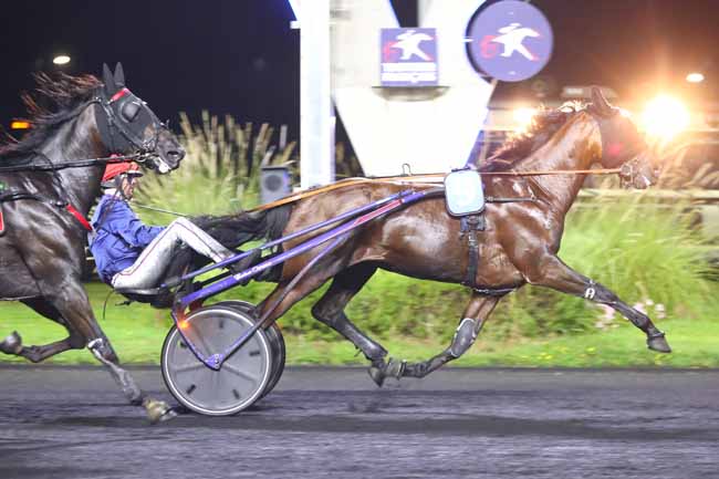 Photo d'arrivée de la course pmu PRIX DORADO à PARIS-VINCENNES le Vendredi 30 août 2024