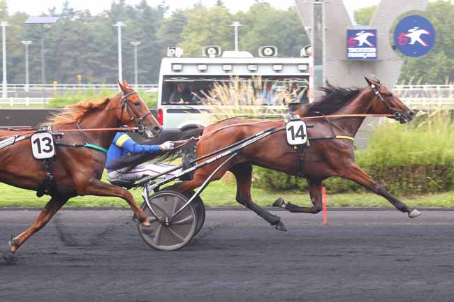 Photo d'arrivée de la course pmu PRIX ANNICK DREUX-CRITERIUM 3 ANS Q3 à PARIS-VINCENNES le Samedi 31 août 2024