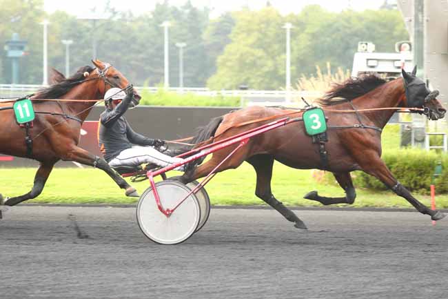Photo d'arrivée de la course pmu PRIX GASTON BRUNET-CRITERIUM 4 ANS Q4 à PARIS-VINCENNES le Samedi 31 août 2024