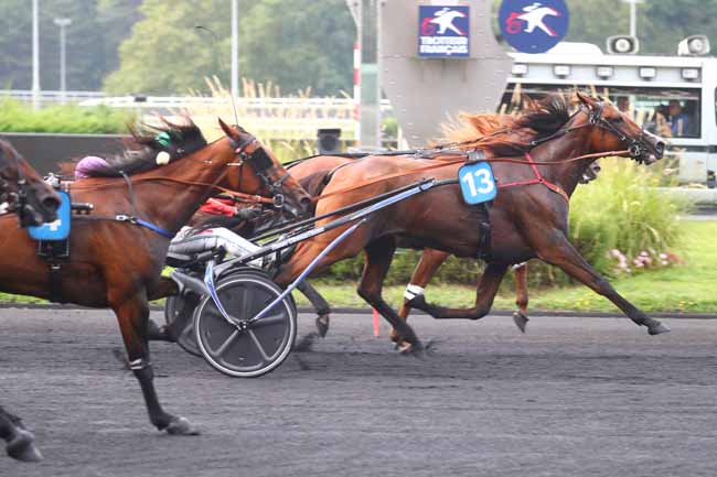 Photo d'arrivée de la course pmu PRIX G. DE WAZIERES-CRITERIUM 4 ANS Q3 à PARIS-VINCENNES le Samedi 31 août 2024