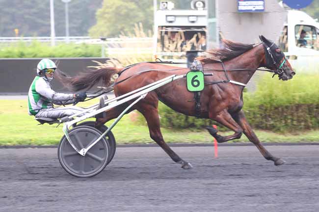 Photo d'arrivée de la course pmu PRIX DE MORET-SUR-LOING à PARIS-VINCENNES le Samedi 31 août 2024
