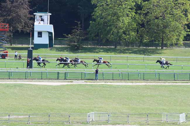 Photo d'arrivée de la course pmu PRIX D'ARENBERG à LONGCHAMP le Dimanche 1 septembre 2024