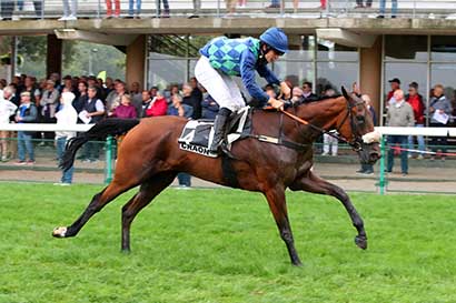 Photo d'arrivée de la course pmu PRIX FRANCE BLEU MAYENNE (PRIX BARON DE PIERRES) à CRAON le Lundi 2 septembre 2024