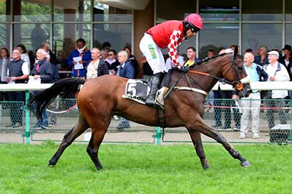 Photo d'arrivée de la course pmu PRIX GROUPAMA (PRIX DE LA SAYETTE) à CRAON le Lundi 2 septembre 2024